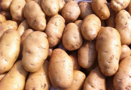 张家界土豆对白癜风有什么影响？